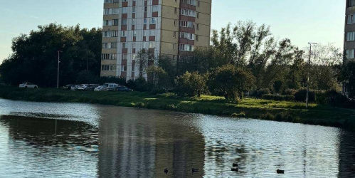 2-комн квартира Пионерстроя ул. ,  д. 17,  к. 2