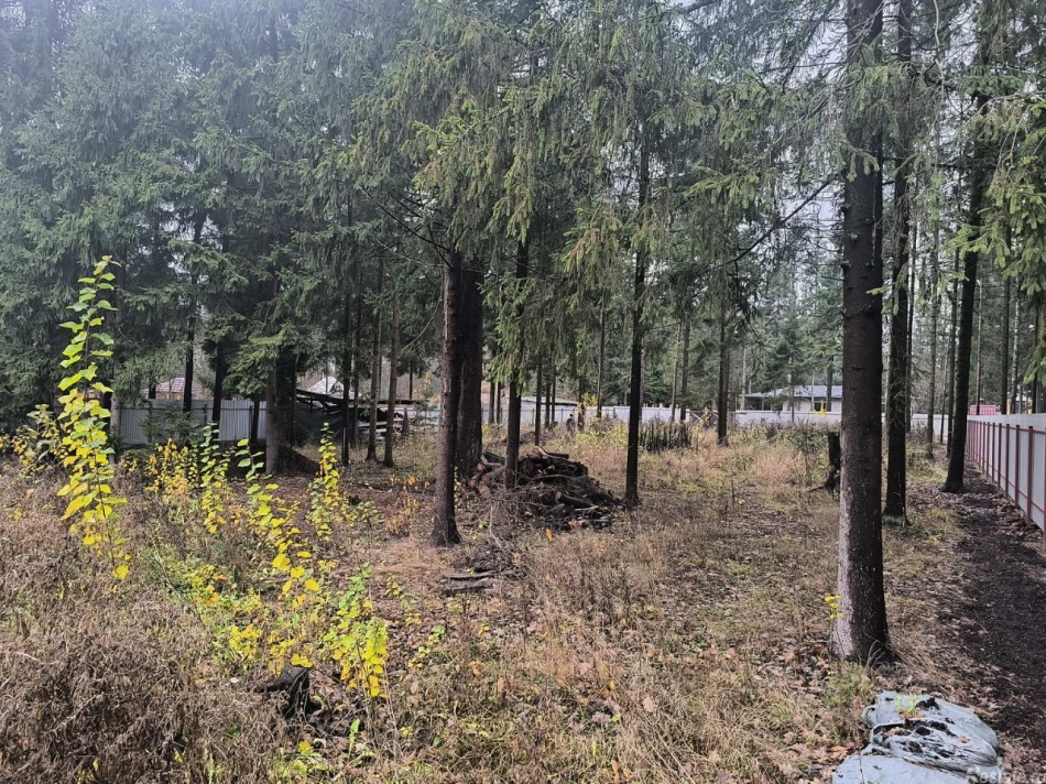 Продажа земли Домодедово, Луговая улица