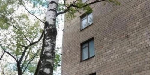 3-комн квартира улица Коновалова,  д. 10
