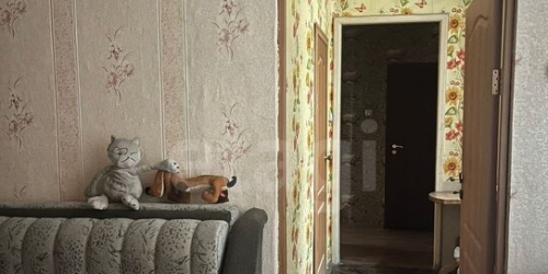2-комн квартира Большой ПС пр-кт,  д. 106