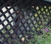 Продать Дачи, коттеджи, загородные дома Выборг, улица Антоновская, 27   