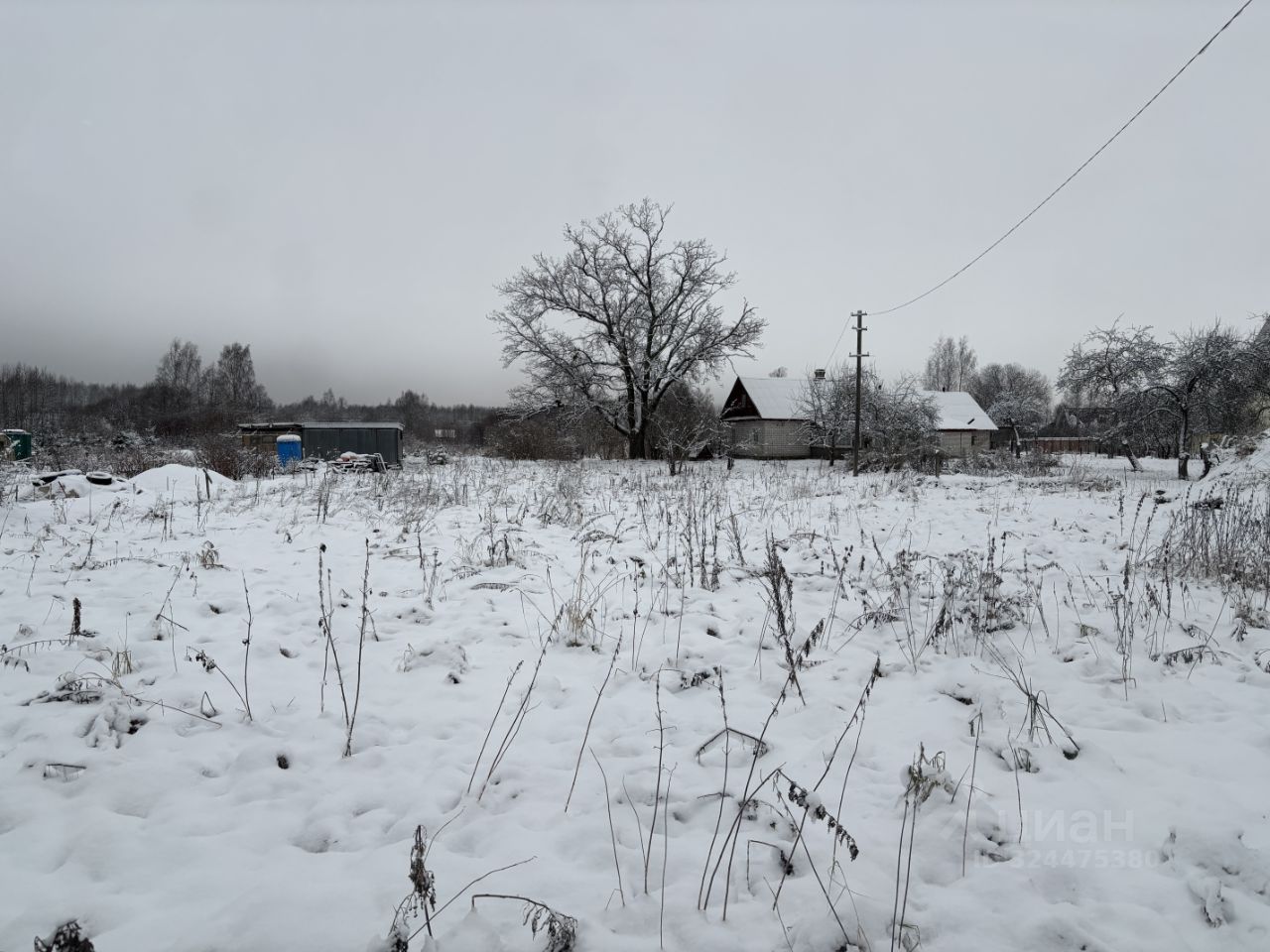 Продажа земли пос. Алексеевка, улица Лесная