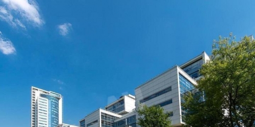 Офис Василисы Кожиной ул