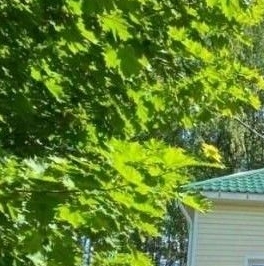 Продажа дома д. Бор, аллея Березовая, 1 Продажа дома д. Бор, аллея Березовая, 1