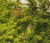 Продать Квартиры вторичка Верхняя улица, 20к1   