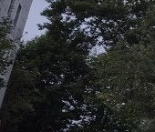 Продать Квартиры вторичка с. Мамонтово, улица Зеленая, 5А   