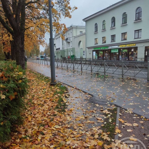 2-комн квартира Зеленогорск г., Ленина пр.,  д. 21