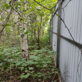 Продажа земли коттеджный посёлок Согласие-2, коттеджный посёлок Согласие-2