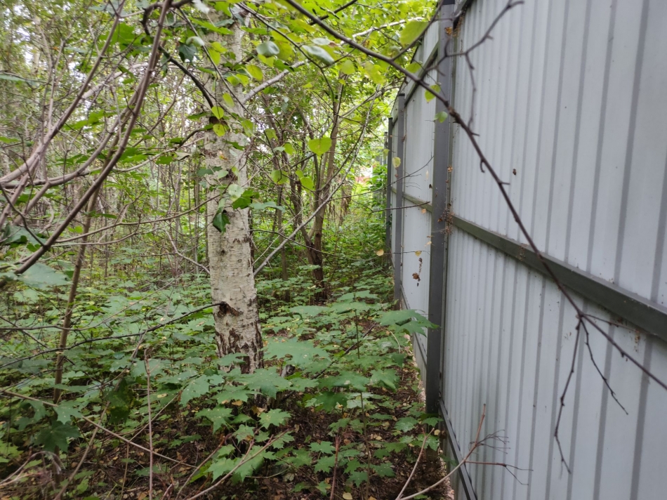 Продажа земли коттеджный посёлок Согласие-2, коттеджный посёлок Согласие-2