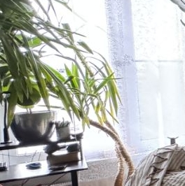 Продажа 1-комн квартиры на вторичном рынке проспект Малый Васильевского острова, 63 Продажа 1-комн квартиры на вторичном рынке проспект Малый Васильевского острова, 63