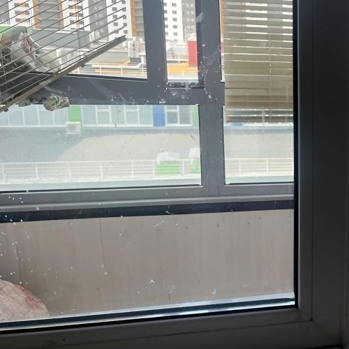 1-комн квартира улица Маршала Казакова, 68к1