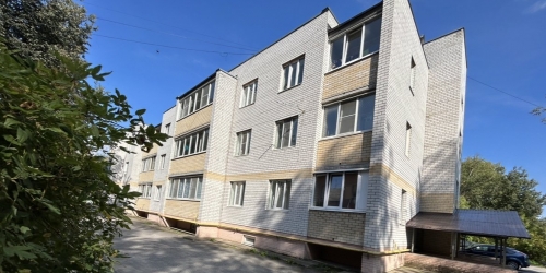 2-комн квартира Павлово пос., Ленинградский пр.,  д. 18а