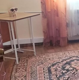 Продажа дома д. Кисельня, улица Зеленая, 6 Продажа дома д. Кисельня, улица Зеленая, 6