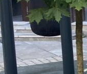 Сдать в аренду Квартиры вторичка Боровая улица, 34/24   