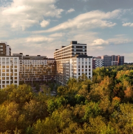 Продажа ПСН Отрадное, ул Лесная,  д. 25