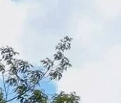 Продать Квартиры вторичка Страстной бульвар, 10к1   