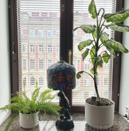 Продажа 3-комн квартиры на вторичном рынке Фурштатская ул, д. 14 Продажа 3-комн квартиры на вторичном рынке Фурштатская ул, д. 14