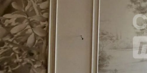 2-комн квартира Старопетровский проезд, 8