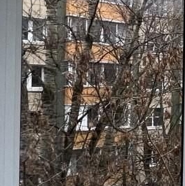 Продажа 2-комн квартиры на вторичном рынке Ломоносовский проспект, 3К3 Продажа 2-комн квартиры на вторичном рынке Ломоносовский проспект, 3К3