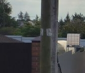 Продать Дачи, коттеджи, загородные дома пос. Романовка, улица Центральная, 15   