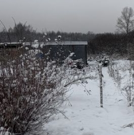 Продажа земли пос. Алексеевка, улица Лесная