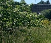 Продать Земельные участки, земля д. Порицы, 30   