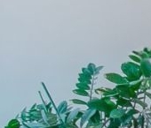 Продать Квартиры вторичка улица Усачева, 13   