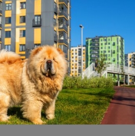 Продажа 2-комн квартиры на вторичном рынке Заневское городское поселение, Ясная улица,  д. 9 к2