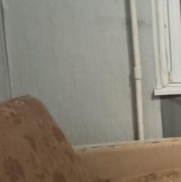 Аренда 1-комн квартиры на вторичном рынке Заповедная улица, 16к2 Аренда 1-комн квартиры на вторичном рынке Заповедная улица, 16к2