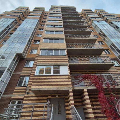 Студия Янино-1 пос., Голландская ул. ,  д. 8,  к. 1