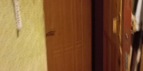 Комната Ломоносов г., Владимирская ул. ,  д. 21