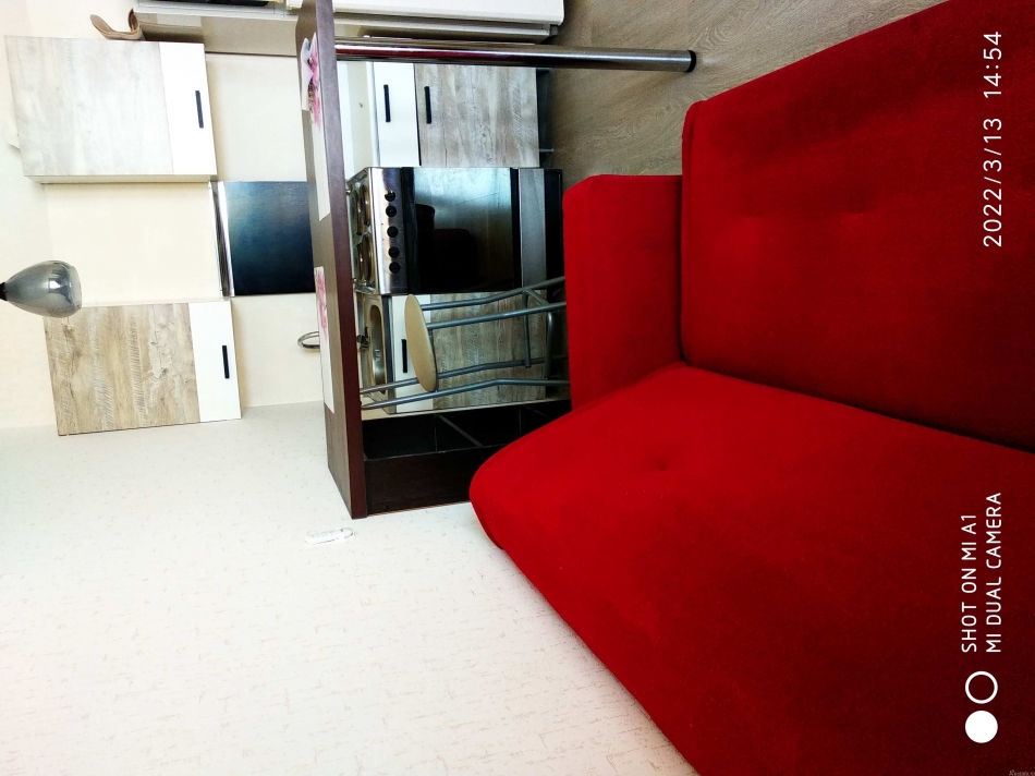 Аренда студии Шушары п, Сарицкая ул,  д. 11