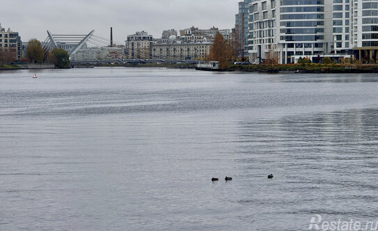 Продажа 3-комн квартиры на вторичном рынке Петровский пр-кт,  д. 28 к1 с1