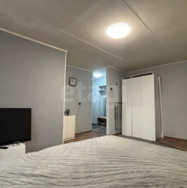 Продажа 1-комн квартиры на вторичном рынке Клишева, Центральная улица,  д. 1