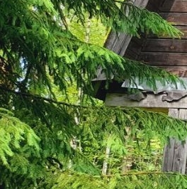 Продажа земли пос. Малышево, улица Центральная Продажа земли пос. Малышево, улица Центральная