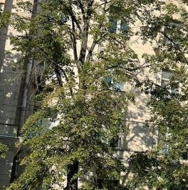 Аренда 3-комн квартиры на вторичном рынке Волоколамское шоссе, 1