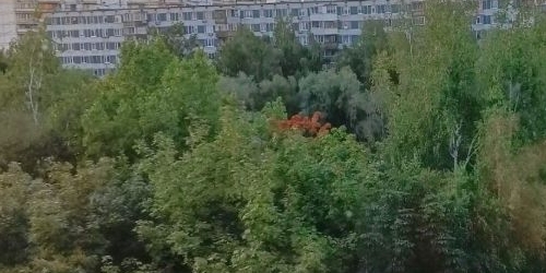 3-комн квартира улица Плещеева, 11В