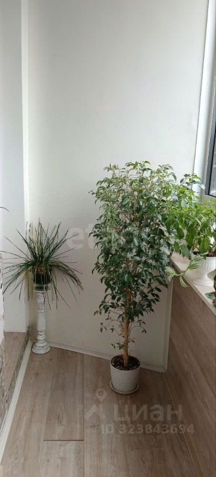 Продажа студии Мурино, улица Шувалова, 48