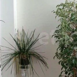 Продажа студии Мурино, улица Шувалова, 48