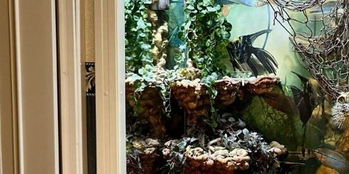 6-комн квартира Моховая улица, 28