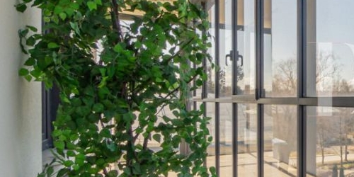 3-комн квартира пос. Лисий Нос, Ивановская улица, 10