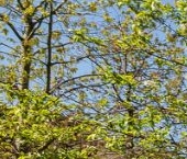 Продать Квартиры вторичка улица Ефремова, 19к3   