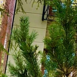 Продажа дома пос. Ленинское, улица Комаровская Продажа дома пос. Ленинское, улица Комаровская