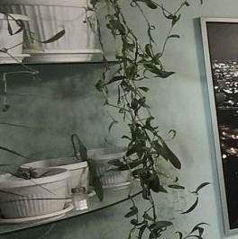 Продажа 2-комн квартиры на вторичном рынке Сходня мкр, улица Ленинградская, 3к1