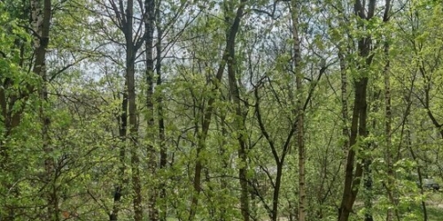 2-комн квартира Тучковская ул,  д. 9