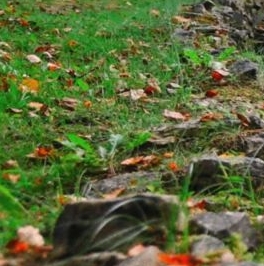 Продажа дома д. Мендсары, улица Набережная, 10 Продажа дома д. Мендсары, улица Набережная, 10