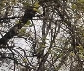 Продать Квартиры вторичка Сумской проезд, 8К1   