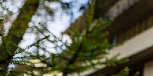 Коттедж/дом пос. Лисий Нос, Приморское шоссе, 26А