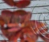 Продать Дачи, коттеджи, загородные дома Выборг, улица Малая Водяная   