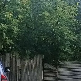 Аренда студии Варшавское шоссе, 17С5